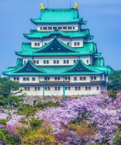 Tour du lịch Nhật Bản | TP. Hồ Chí Minh - Osaka - Nara - Kyoto - Nagoya - Tokyo 6N5Đ (Hoa Anh Đào)